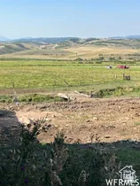 Expansive open land with distant rolling hills under a clear sky