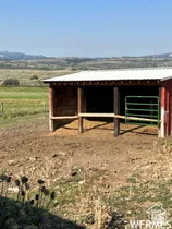 Red-sided shelter with a metal roof and open front