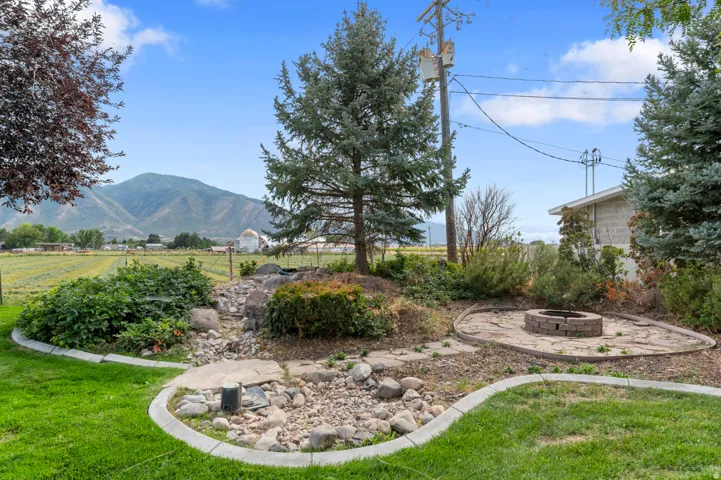 Expansive backyard featuring a stone-lined fire pit area, mature evergreen trees, and a decorative rock garden with concrete edging