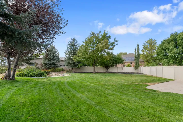 Expansive lawn area featuring mature trees and a concrete patio