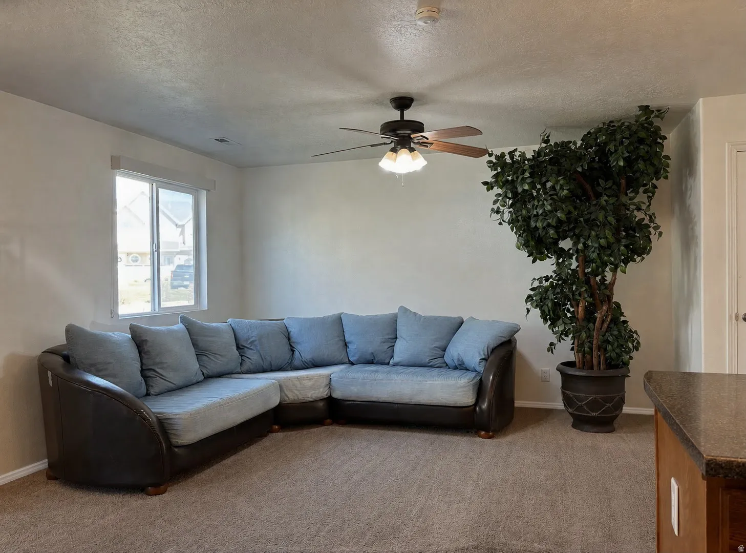 Carpeted living area featuring a multi-pane window, ceiling fan with integrated lighting, textured walls, and a built-in countertop with a wood-finish base