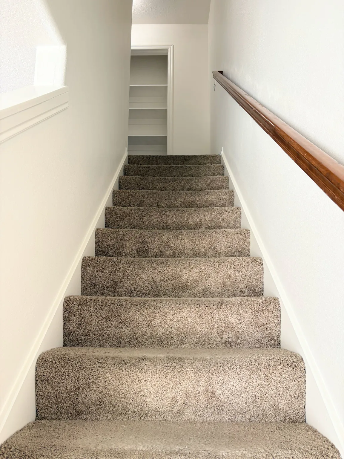 Carpeted staircase featuring a wooden handrail, white risers, and a built-in shelving unit at the landing