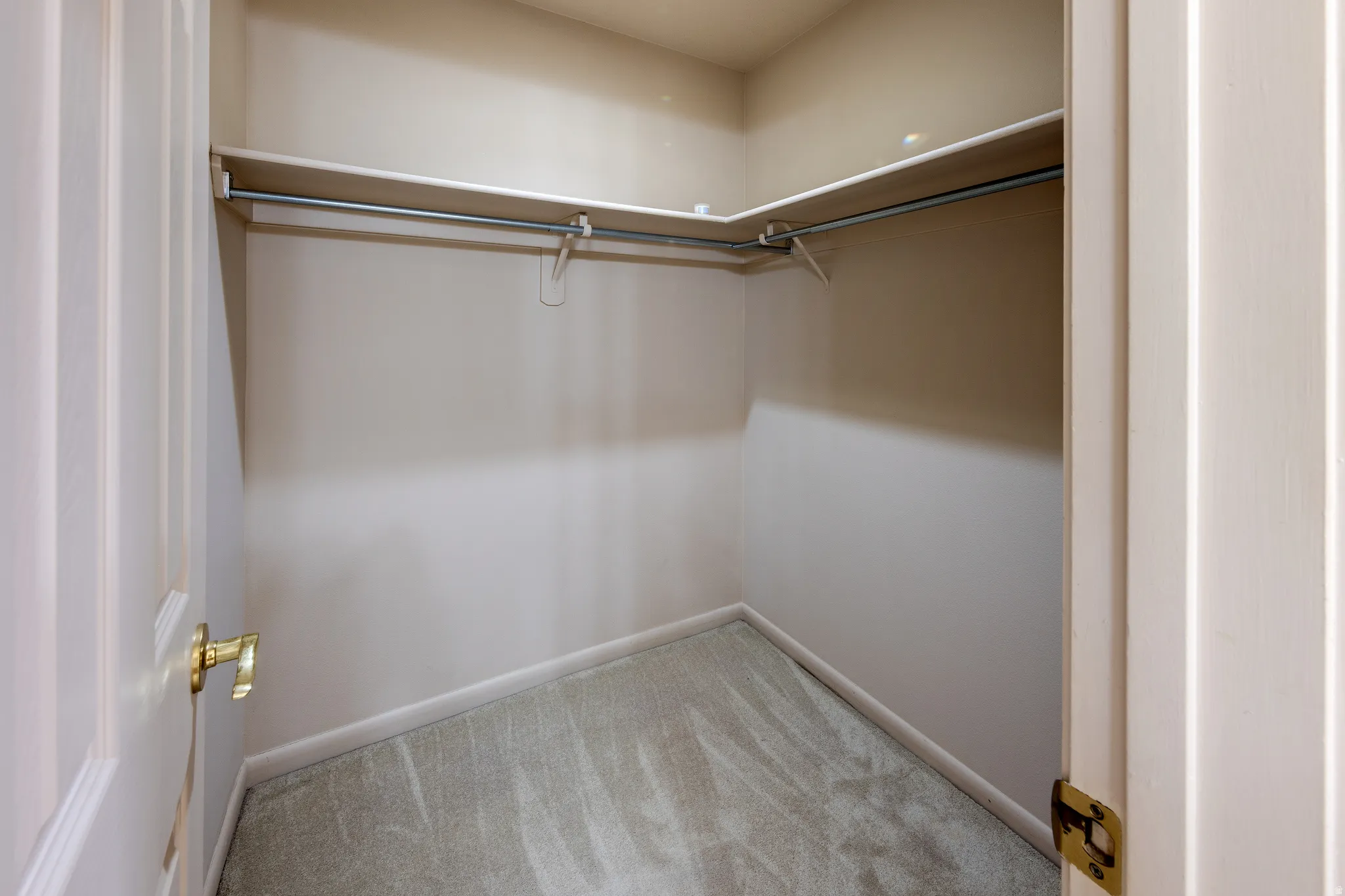 Walk-in closet with carpet flooring