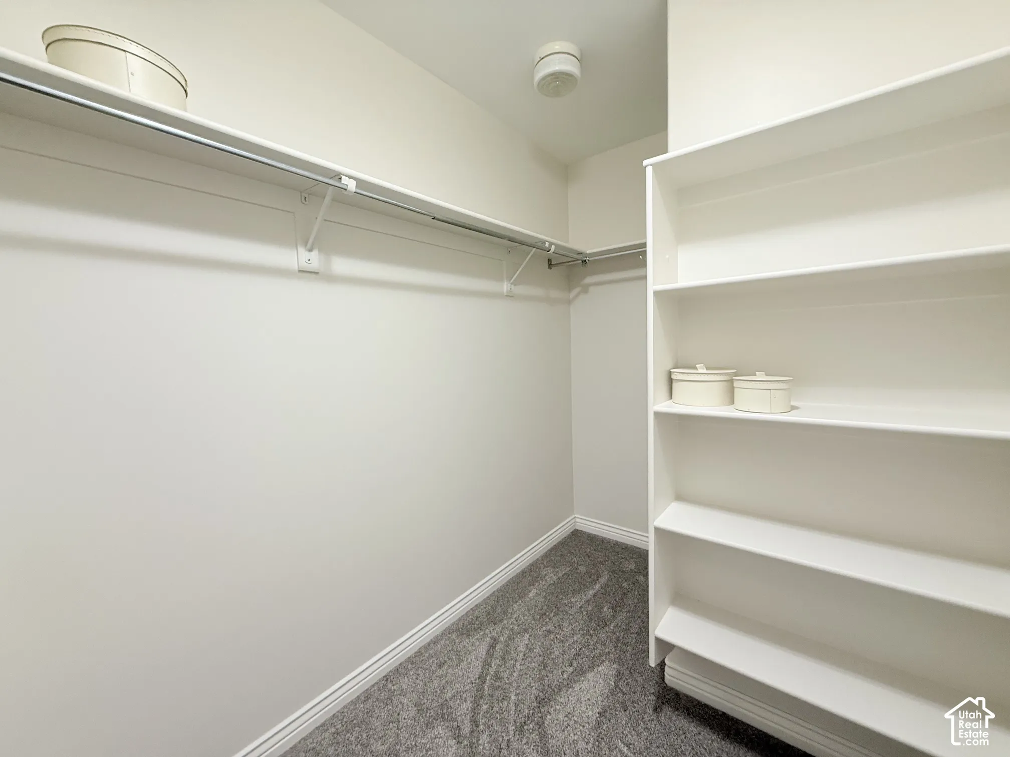 Walk-in closet featuring built-in shelving, white walls, gray carpet, and a white clothes rod