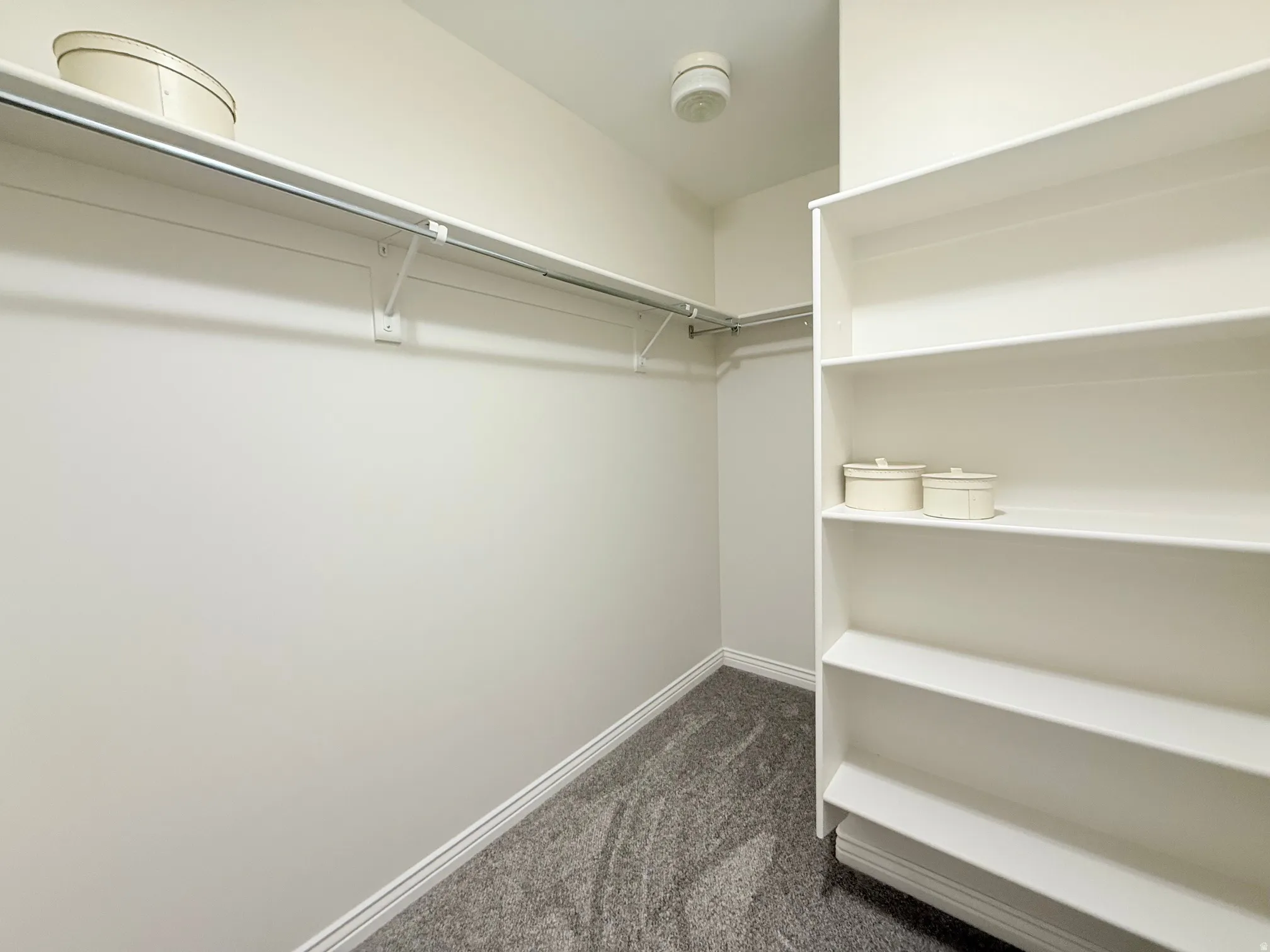 Walk-in closet featuring built-in shelving, white walls, gray carpet, and a white clothes rod