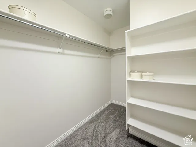 Walk-in closet featuring built-in shelving, white walls, gray carpet, and a white clothes rod