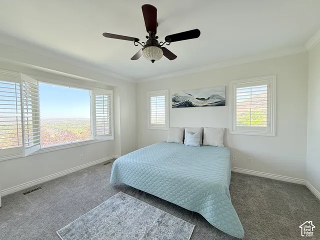 Spacious room featuring a wide picture window, two additional windows, and white plantation shutters