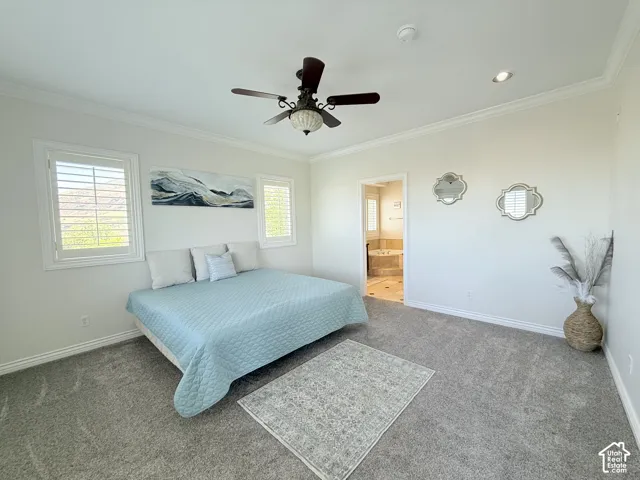 Carpeted room with crown molding, a ceiling fan, and recessed lighting