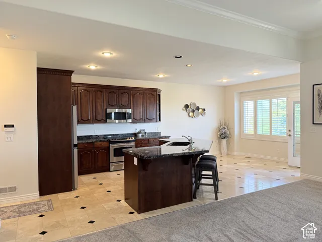 Kitchen featuring dark wood cabinetry, stainless steel appliances, and dark granite countertops