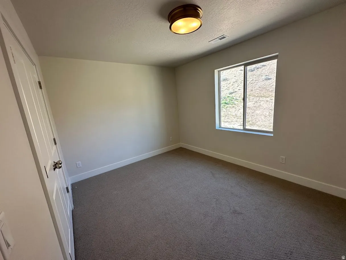 Room featuring broadloom carpeting, a window with a mountain backdrop, a panel door, and a flush mount ceiling light