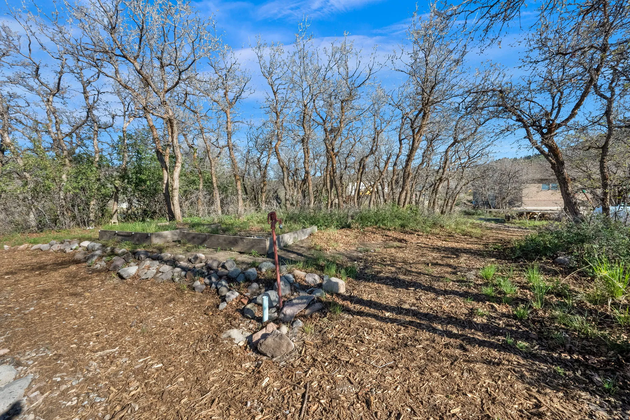 Wood chip-covered ground surrounded by mature trees, featuring a stone-edged planting area and a metal water pump fixture
