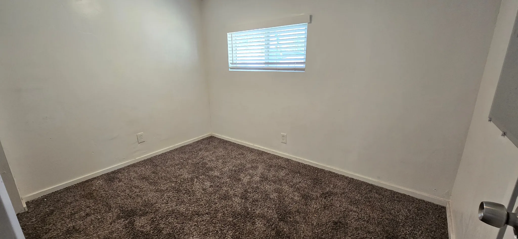 Carpeted room featuring a single window with blinds and light-toned walls