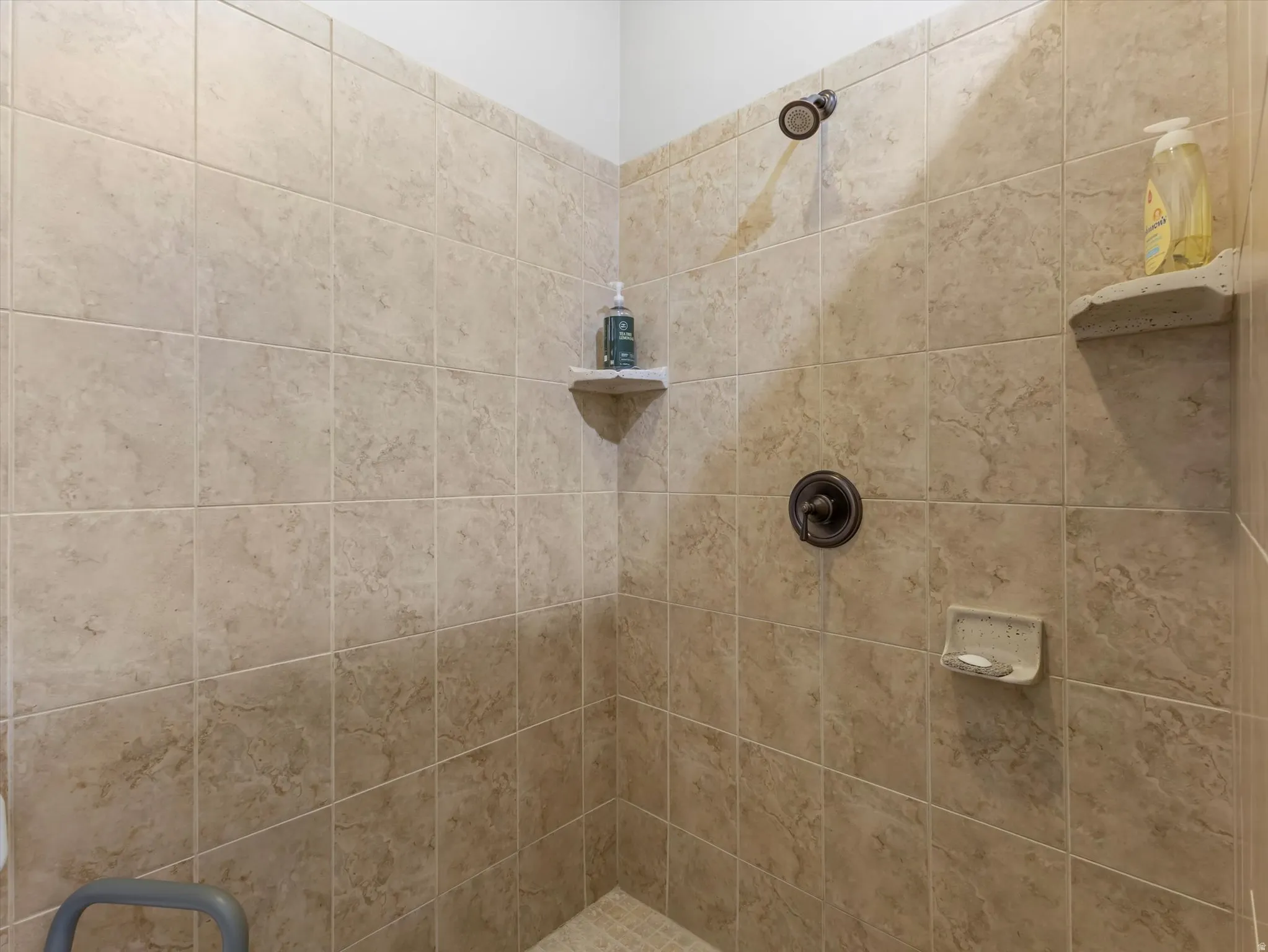 Walk in shower in ensuite bathroom