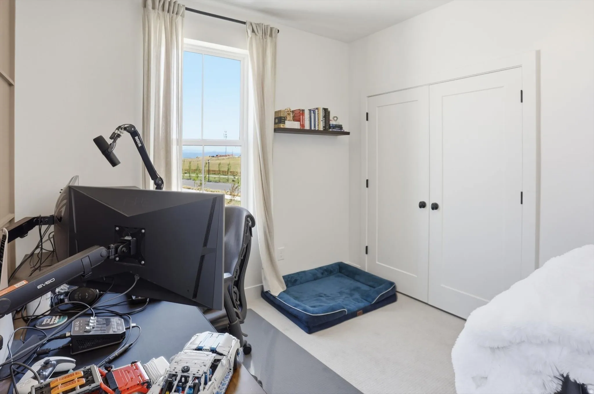Carpeted room featuring a white single-hung window with drapery, a floating shelf, and white double-door closet with dark hardware