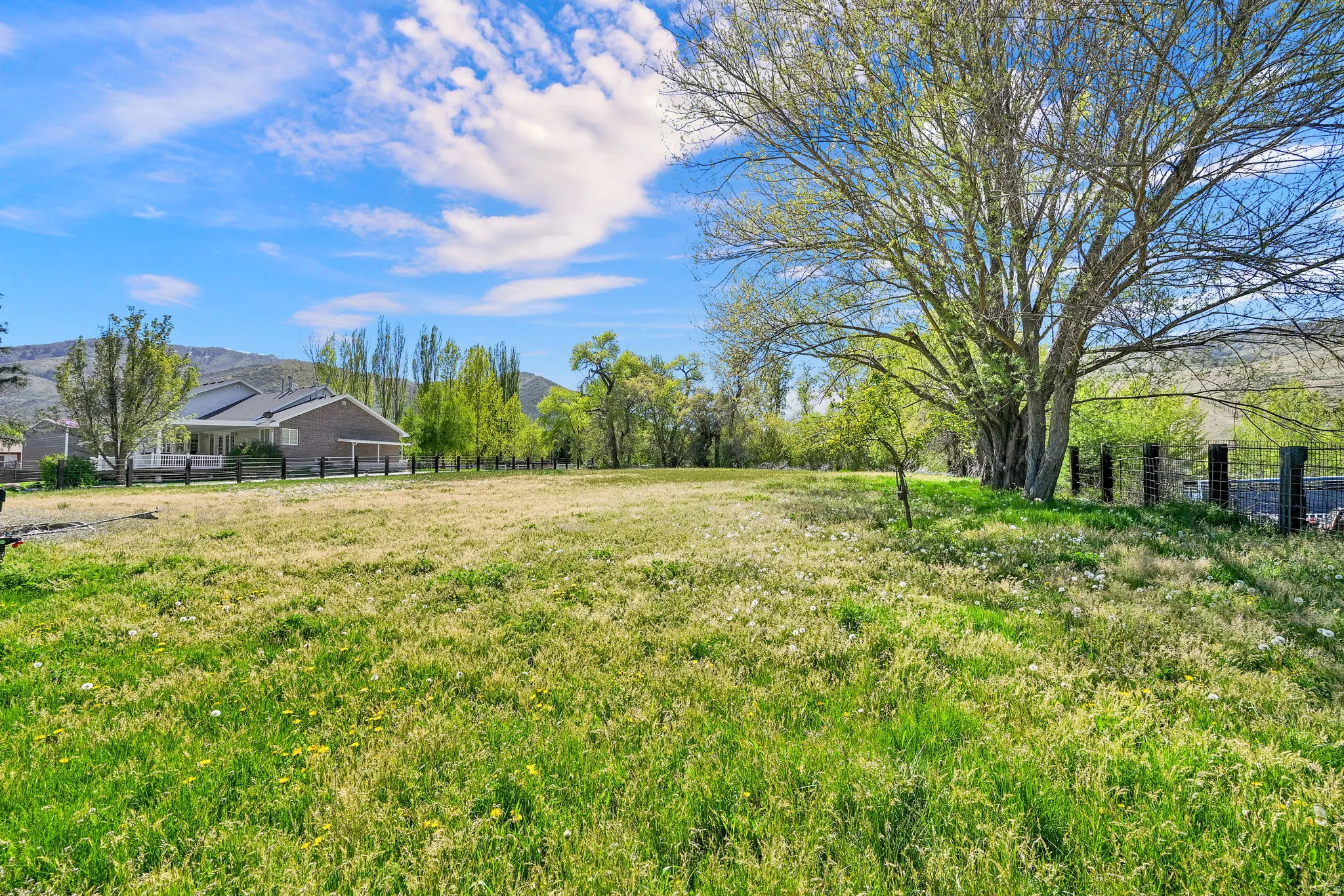 Expansive grassy field featuring a mature deciduous tree, black metal fencing, and a distant single-story structure with a covered porch and dark roofline