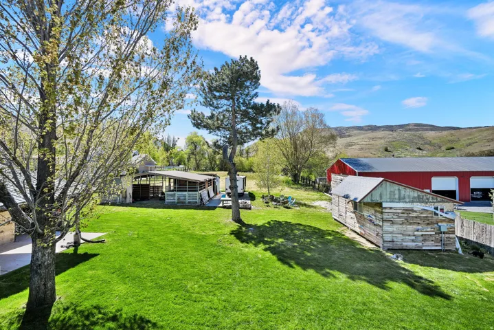 Expansive green lawn with mature trees and a fenced perimeter