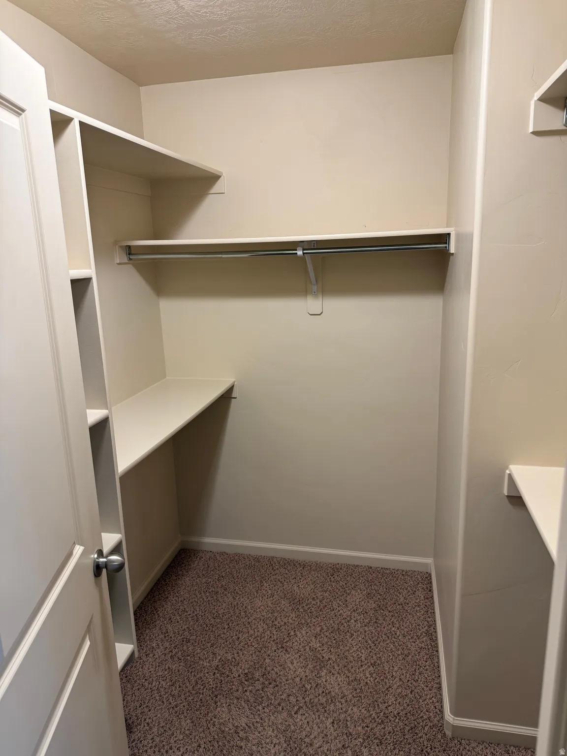 Walk-in closet featuring carpet flooring, built-in shelving, and a hanging rod