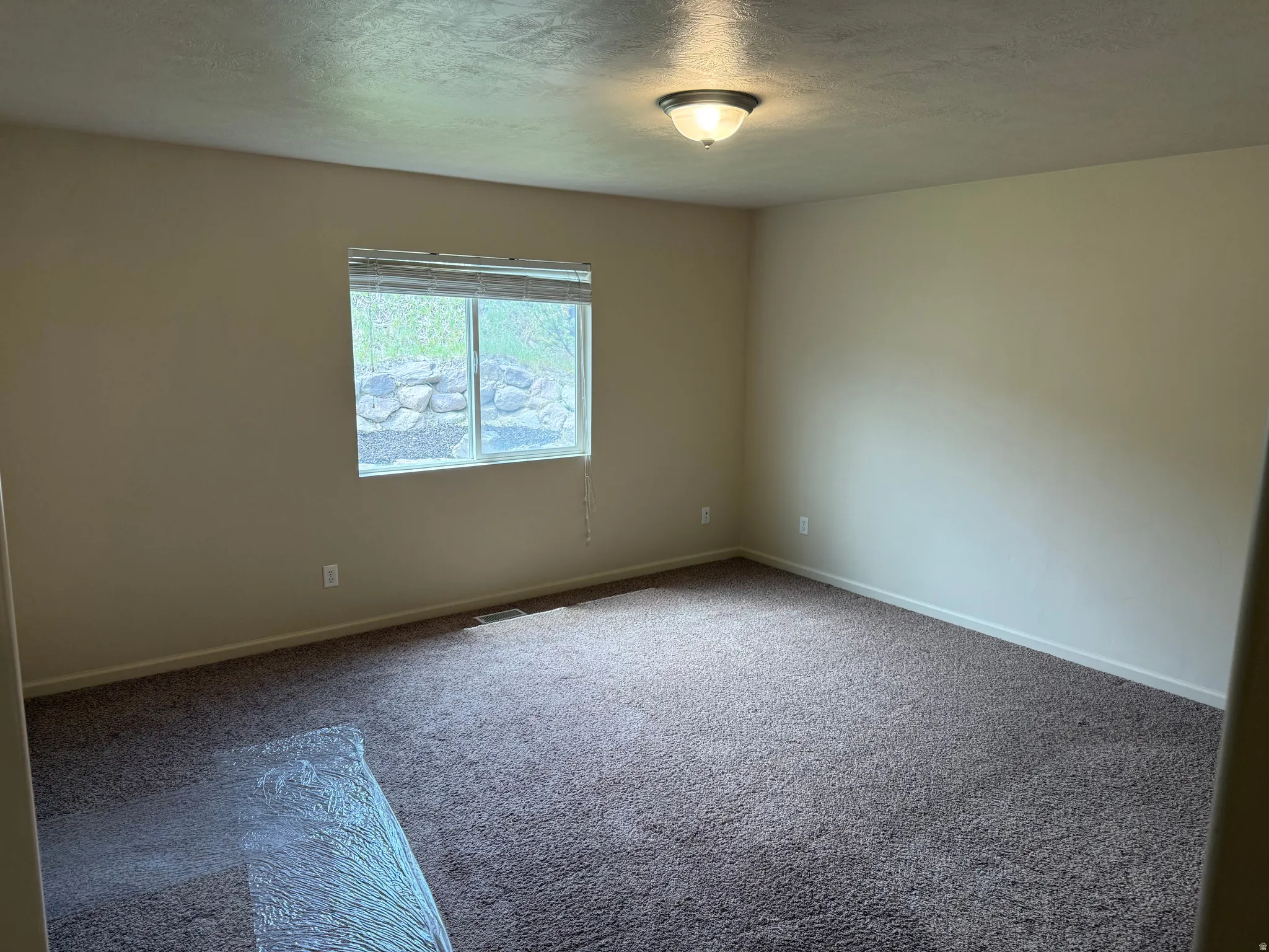 Carpeted interior room featuring light beige walls and a single window with horizontal blinds