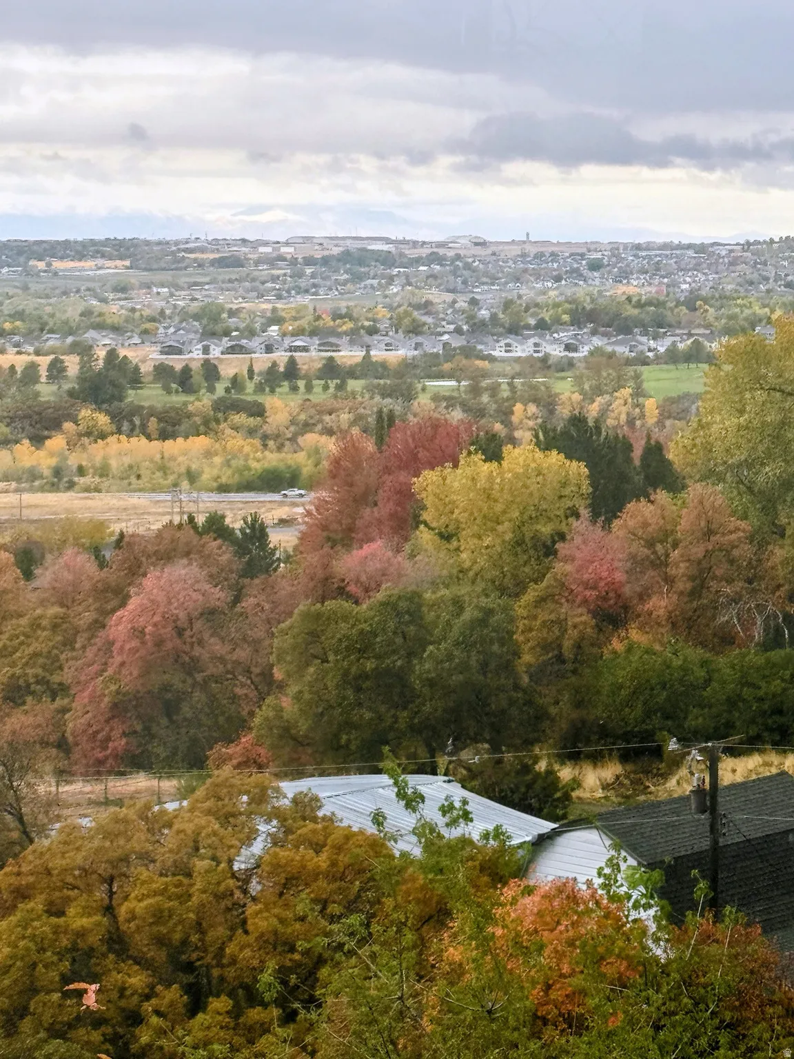 Expansive landscape with a distant city skyline and mountain range