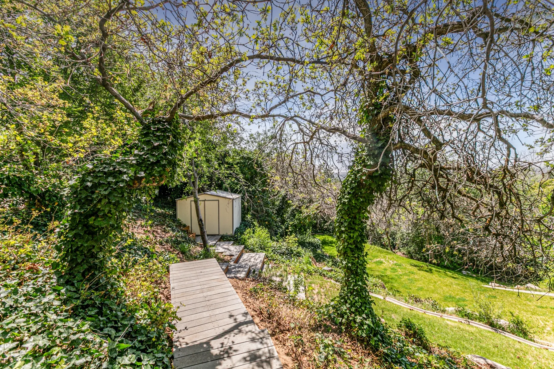 Lush green landscaping with mature trees