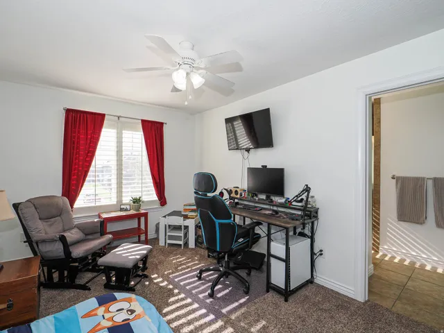 Carpeted room with a ceiling fan light fixture and white walls