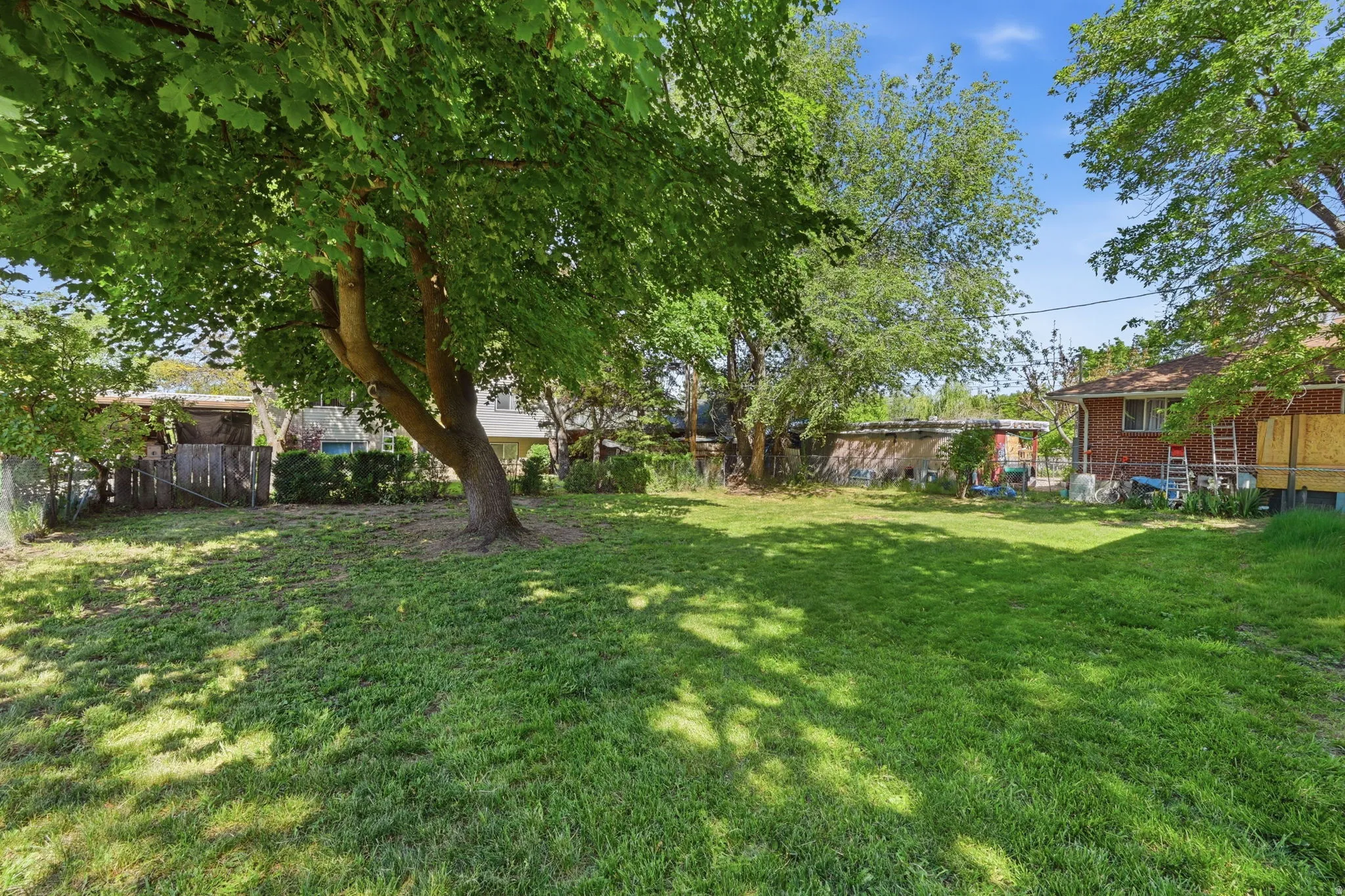 Expansive backyard featuring a large central tree, green lawn, and surrounding mature foliage