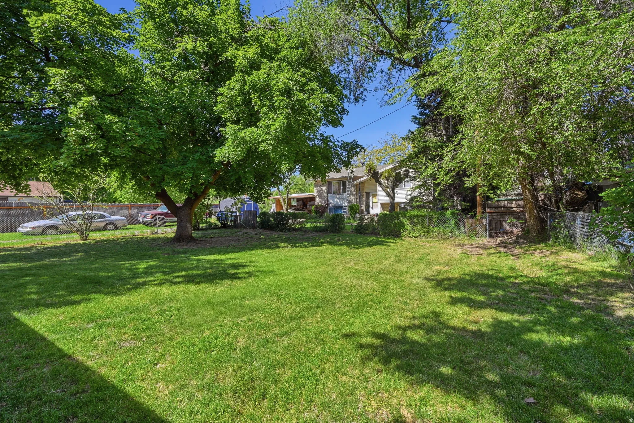 Expansive grassy yard with mature shade trees, partial chain-link fencing, and established perimeter shrubs