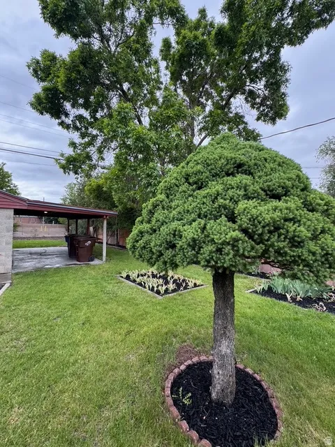 Expansive rear yard featuring a manicured lawn, established landscaping, decorative planting beds, mature shade trees, and a covered patio area