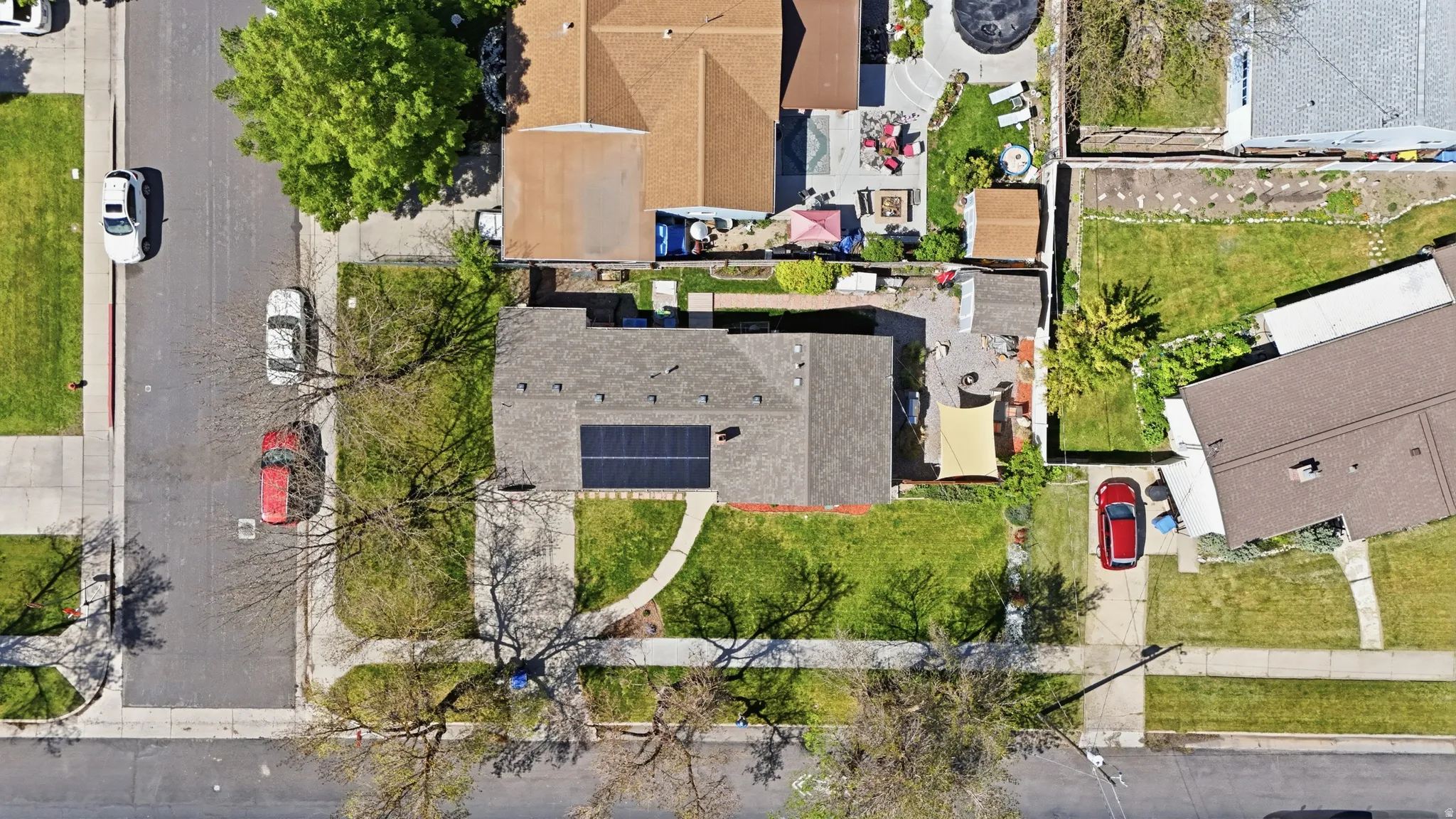 Single-story property featuring a front yard with a curved concrete pathway and mature trees