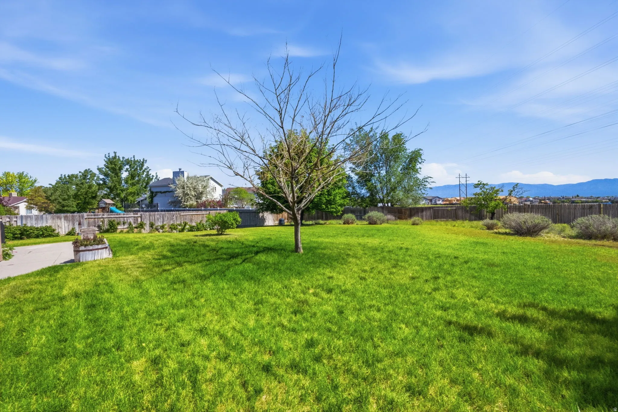 Expansive grassy yard featuring a central deciduous tree, perimeter wood fencing, and scattered shrubs