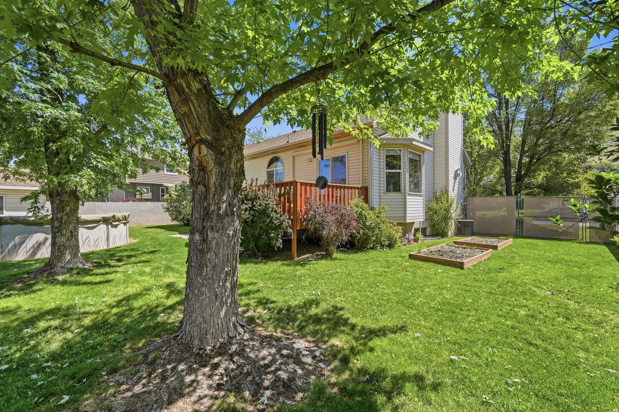Backyard featuring a manicured lawn, established trees, and raised garden beds