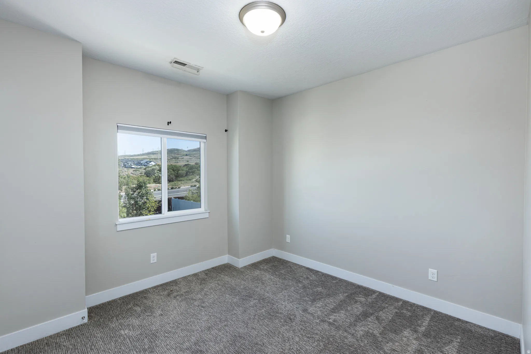 Carpeted room featuring a window with a landscape backdrop, neutral wall tones, baseboard trim, and a ceiling-mounted light fixture
