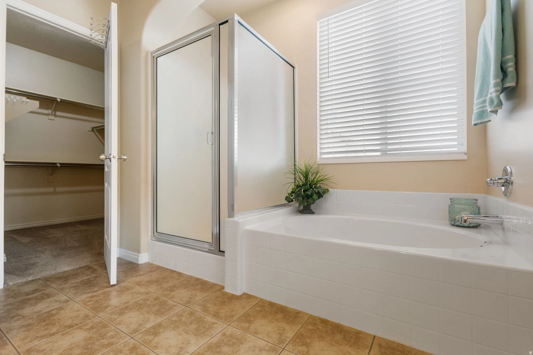 Spacious ensuite bathroom featuring a built-in soaking tub, a separate shower, water closet, and large closet