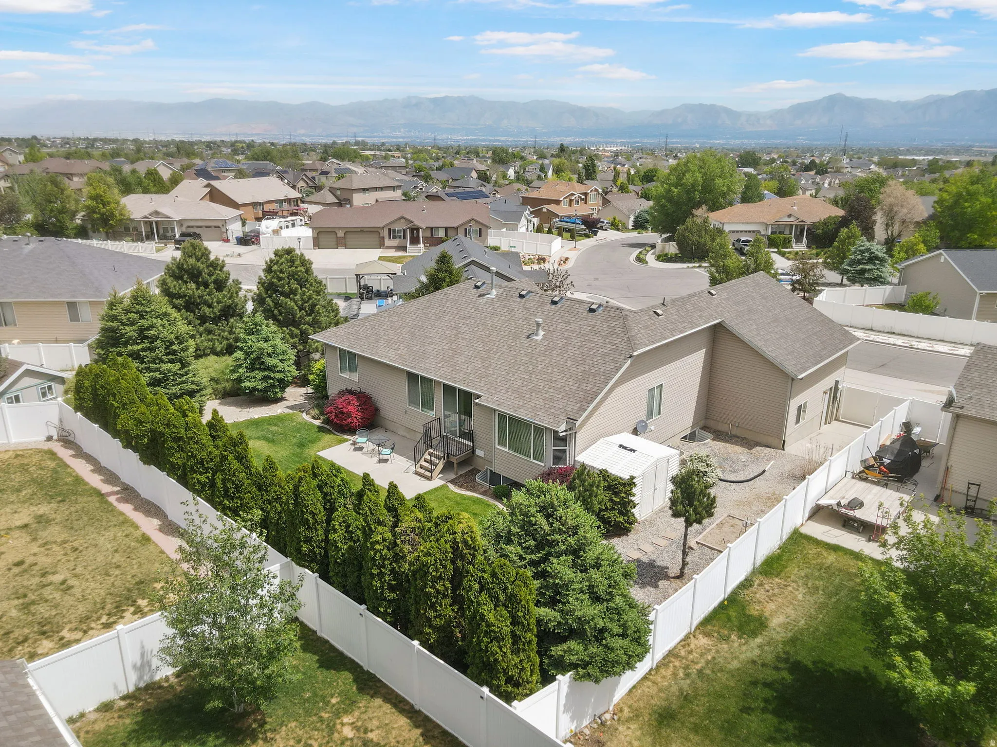 Expansive backyard with a manicured lawn, established privacy trees, and a white vinyl fence