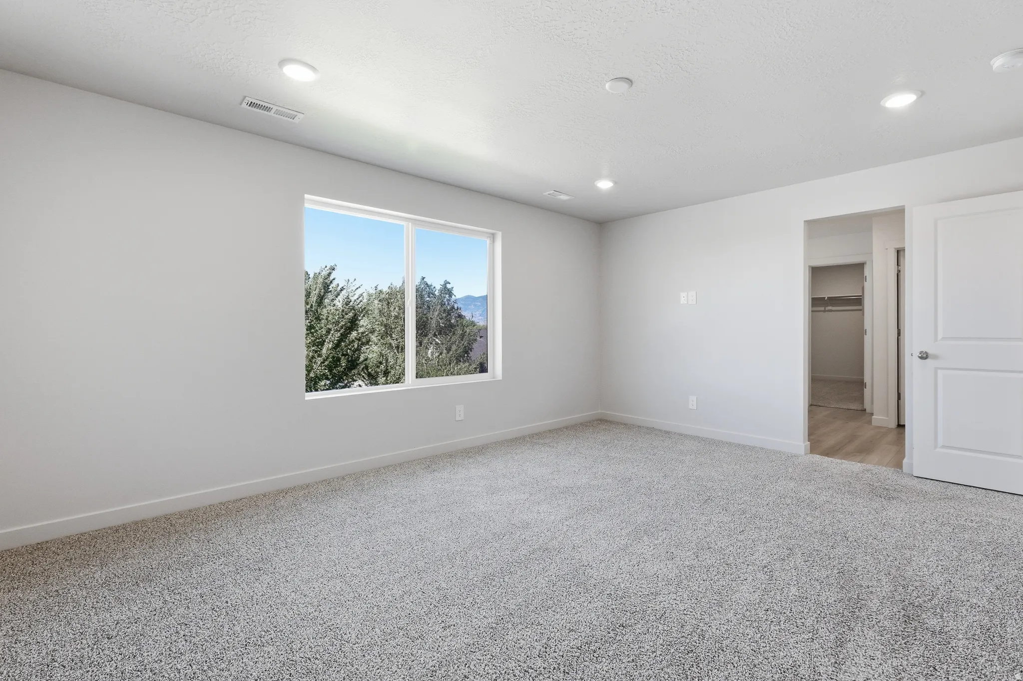 Recessed lighting, large window, neutral wall paint, carpet flooring, wood-finish flooring in closet