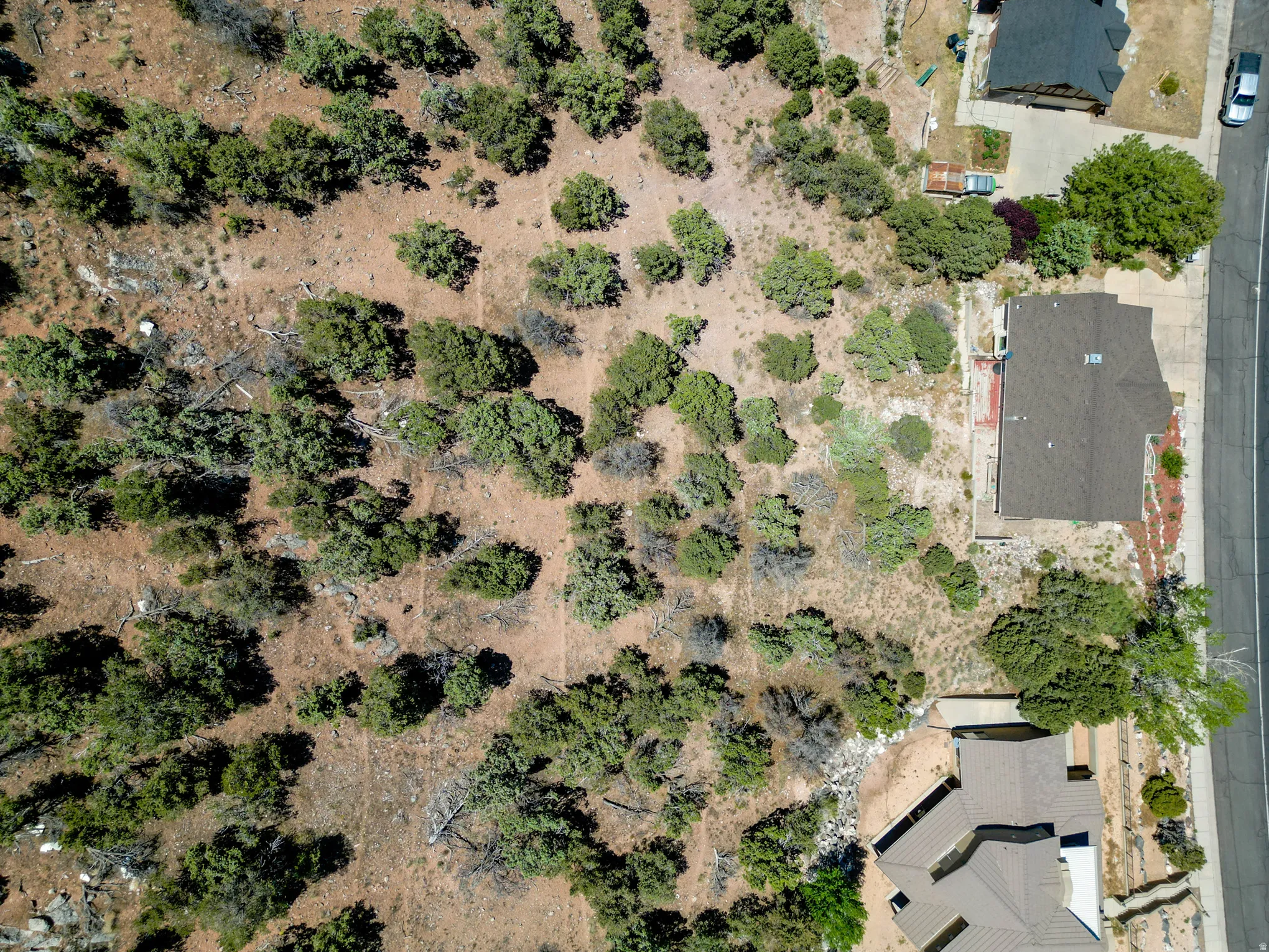 Expansive undeveloped lot featuring natural vegetation and surrounding properties