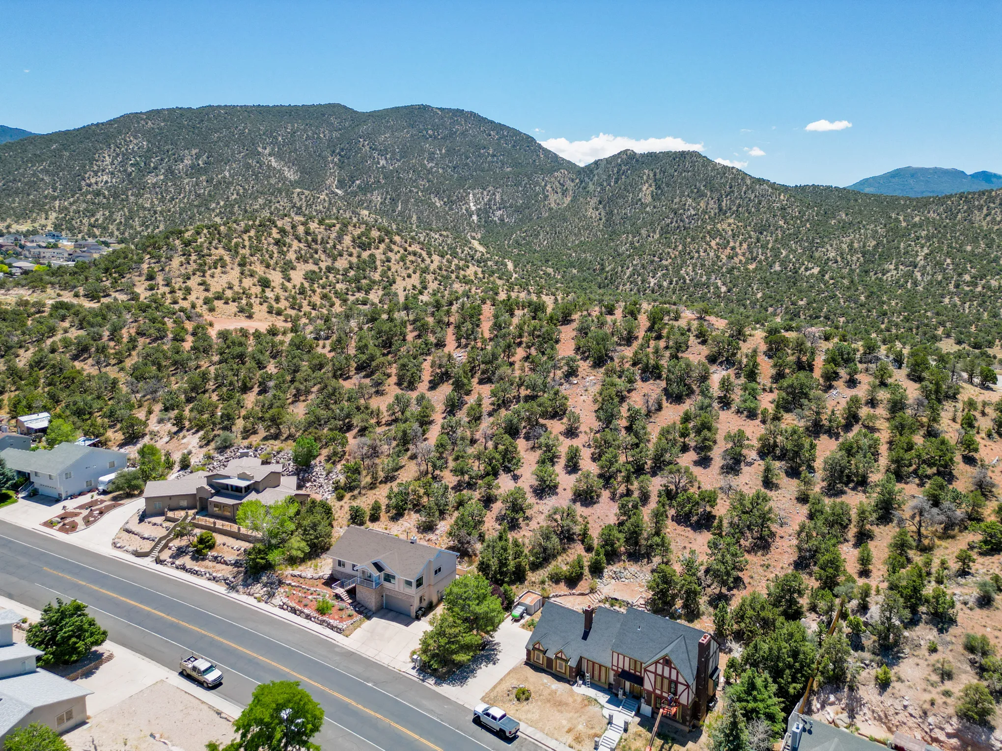 Expansive natural landscape with varied terrain and established trees