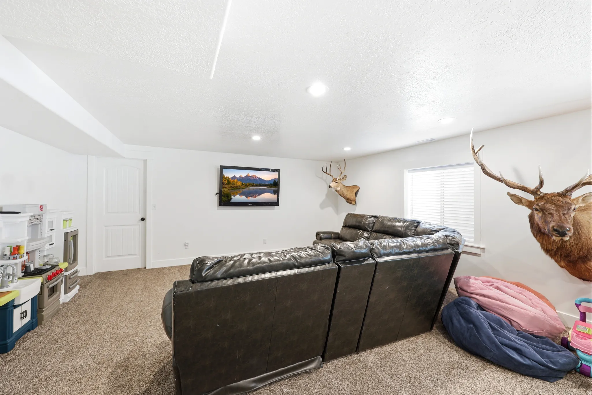 Carpeted room featuring a ceiling-mounted television, recessed lighting, and a white paneled door