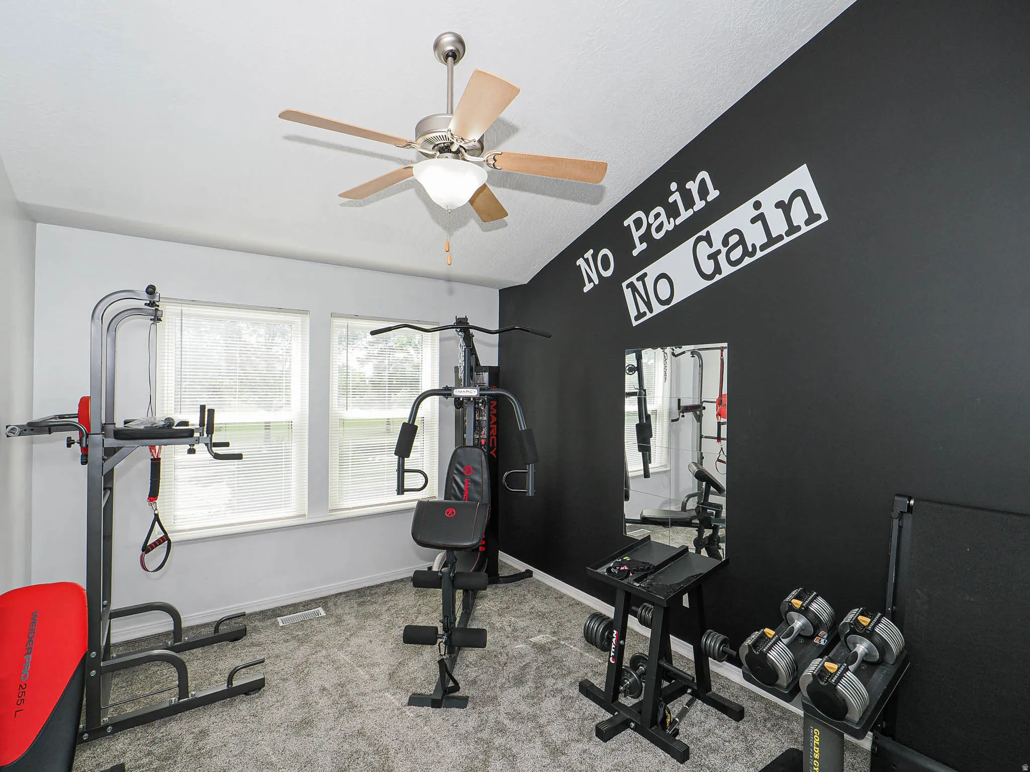 Versatile bonus room featuring a vaulted ceiling with a ceiling fan, two windows providing natural light, a dark accent wall, and grey carpeting