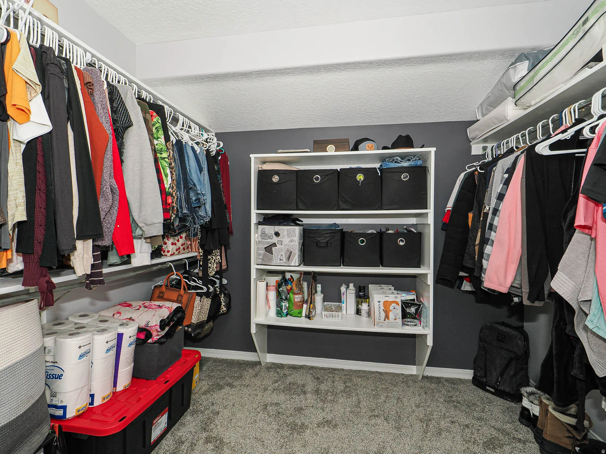 Walk-in closet featuring built-in shelving, carpet flooring, and a neutral color palette
