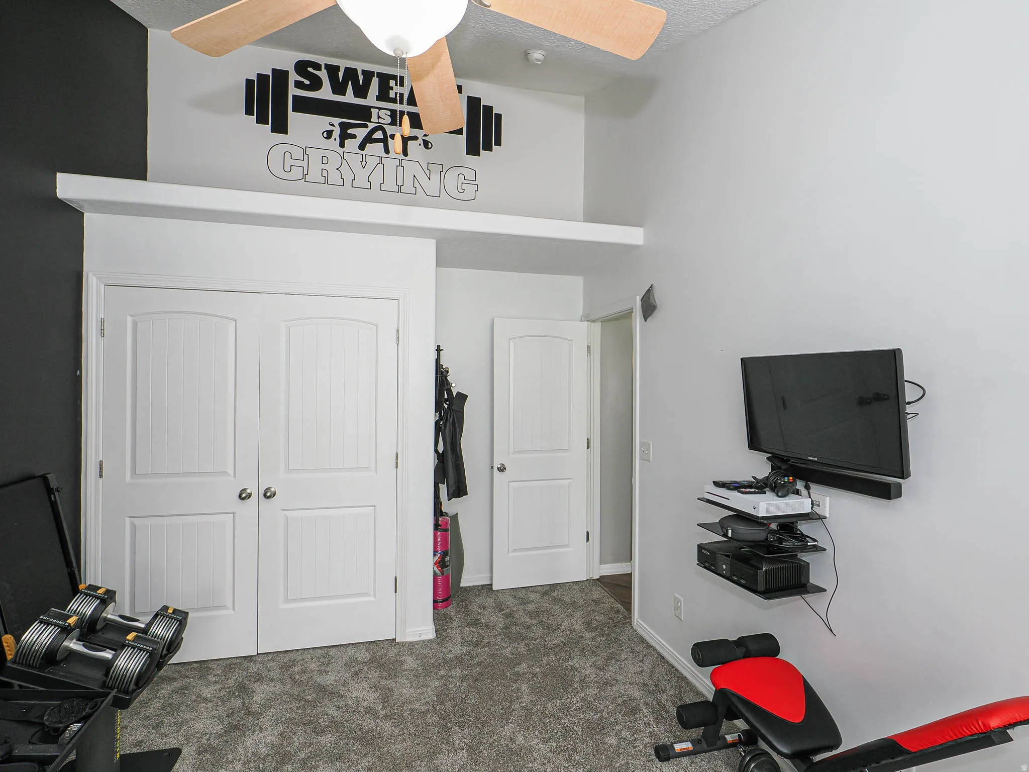 Carpeted room with a ceiling fan, two-panel interior doors, and a wall-mounted media shelving unit