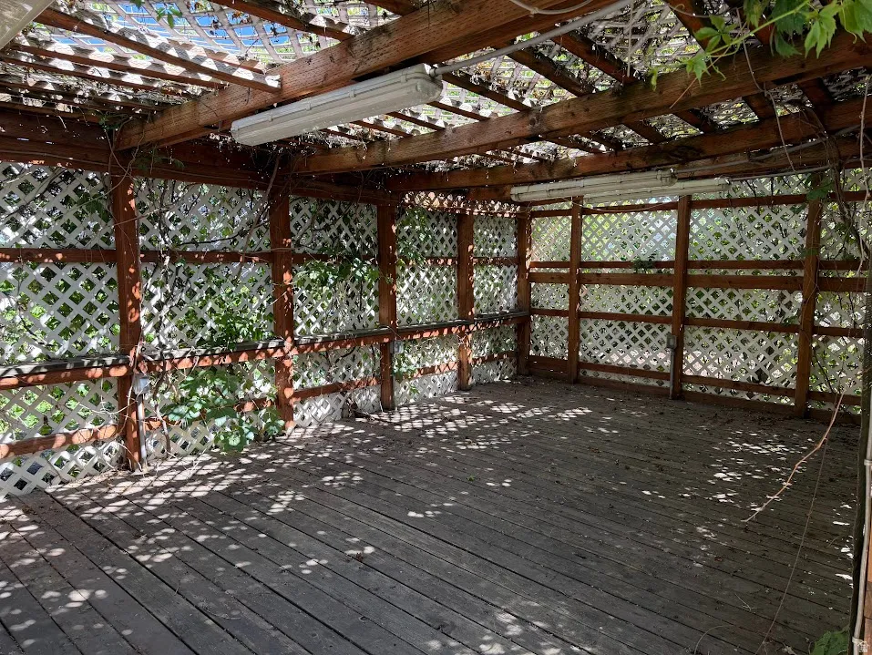 Expansive outdoor space featuring a wood-plank deck, overhead wood pergola, and white lattice fencing
