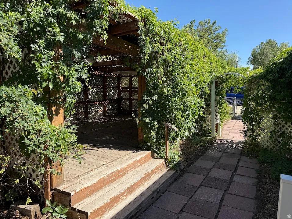 Wood-decked patio with built-in wooden seating and steps, enveloped by lush green climbing foliage