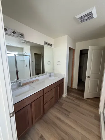 Primary bathroom vanity