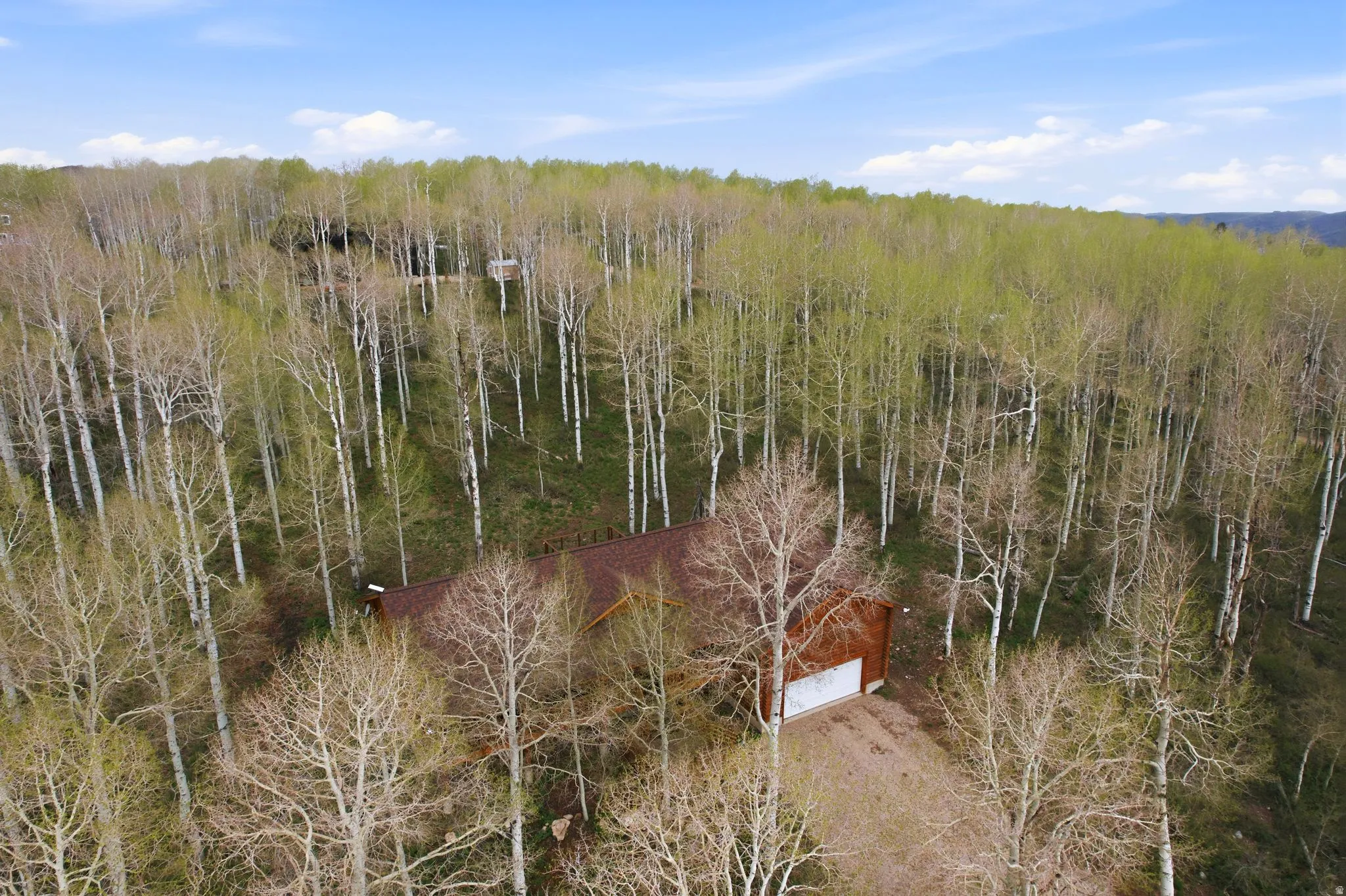 Wood-sided residence with a brown shingle roof, surrounded by numerous deciduous trees
