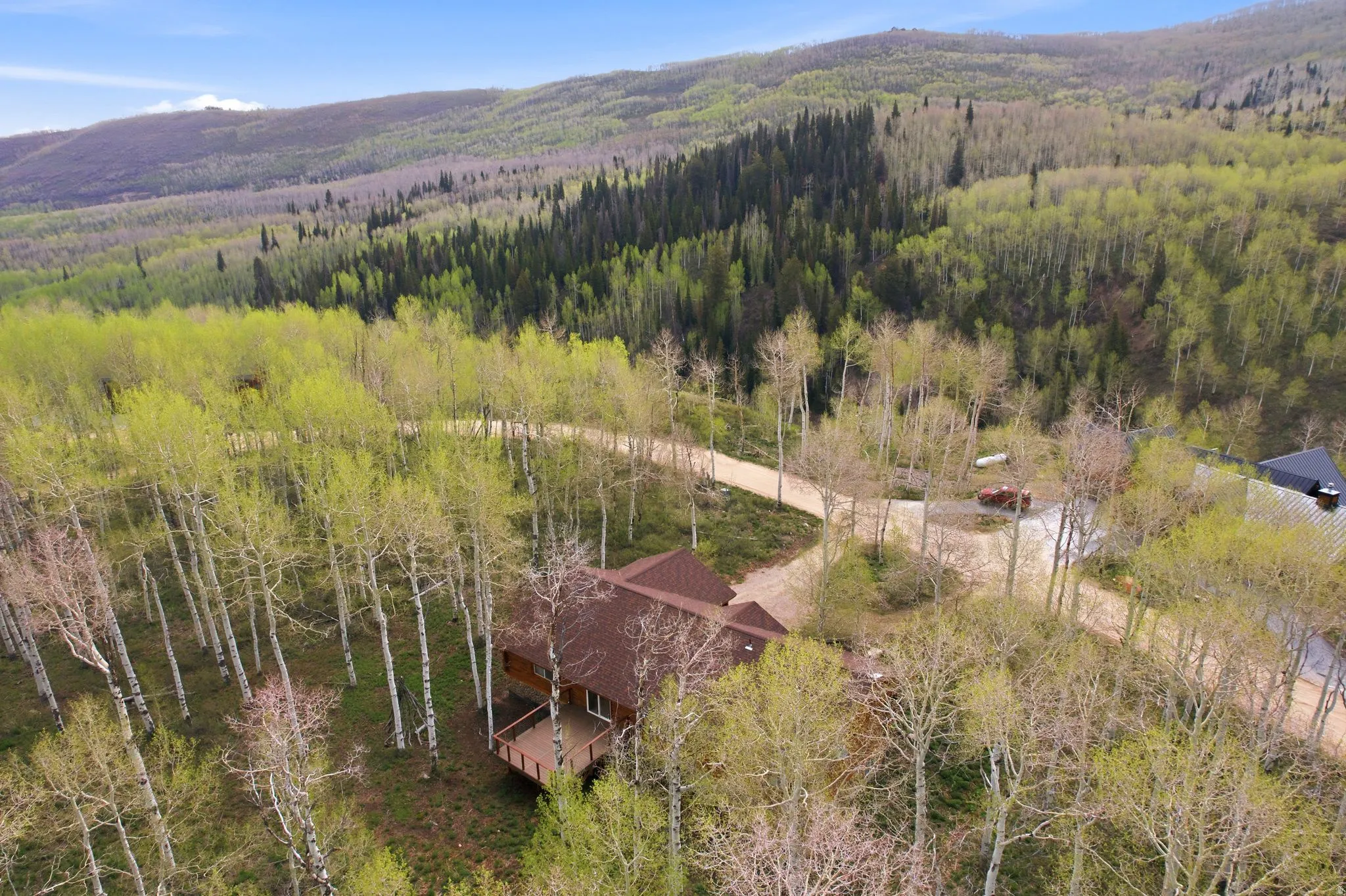Mountainous landscape with expansive forest coverage