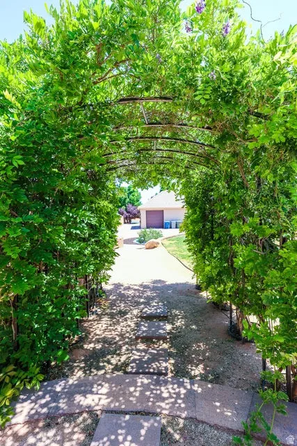 Arched metal pergola covered in lush green foliage with sporadic purple blooms