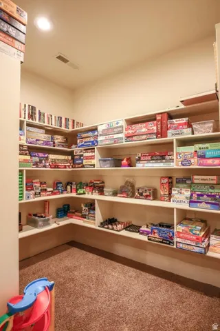Built-in shelving with ample storage, recessed ceiling lighting, textured carpet flooring, and a neutral wall palette
