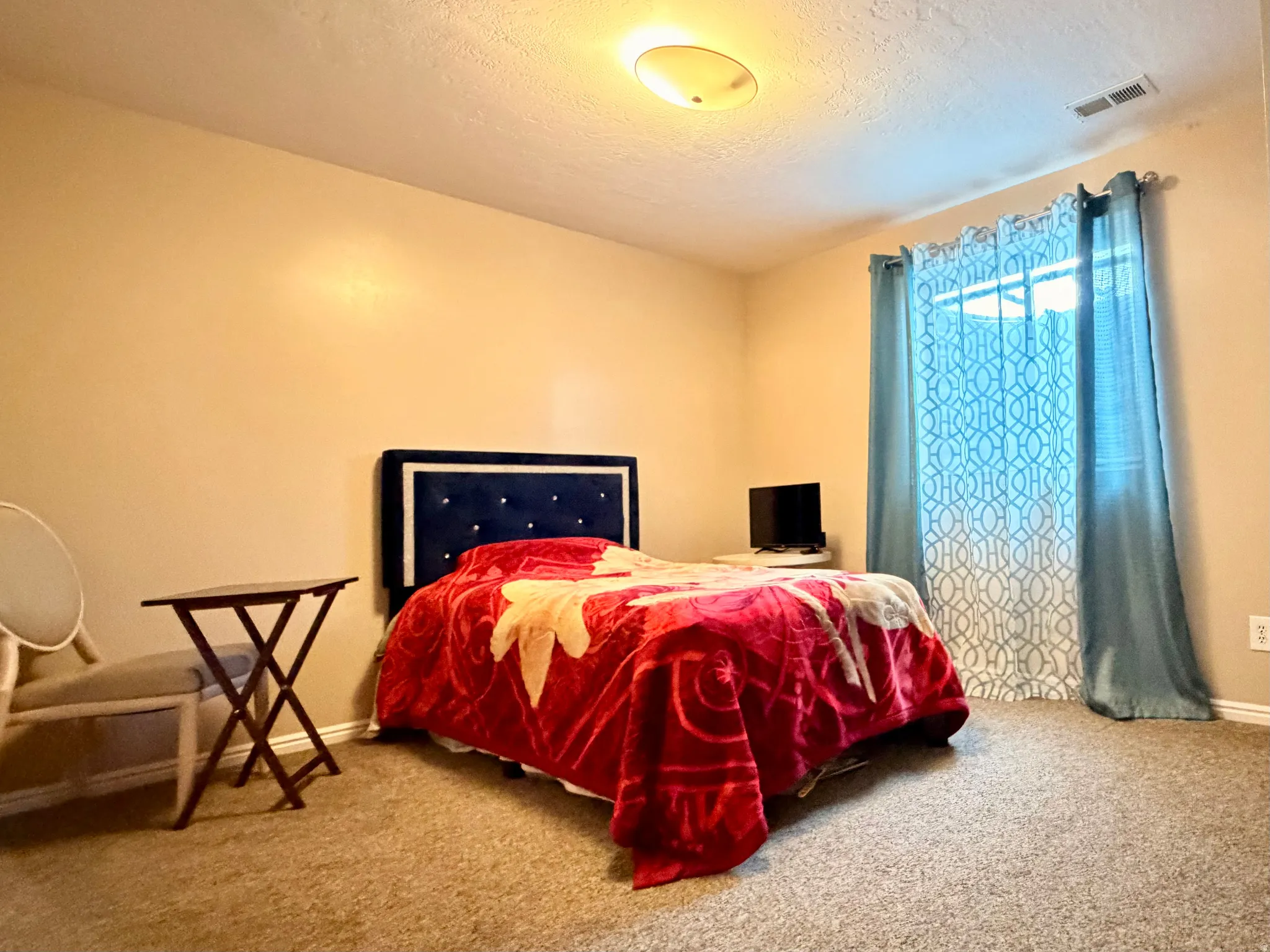 Neutral wall paint and textured carpeting define this room