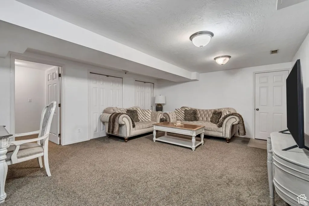 Carpeted room with white walls, two flush-mount ceiling lights, and multiple white panel doors